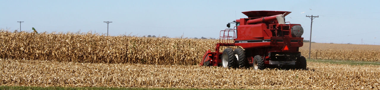 Figure 1. A combine in a field ready to harvest corn. 