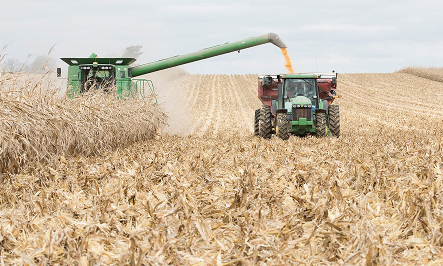 Harvest Safety Tips​​