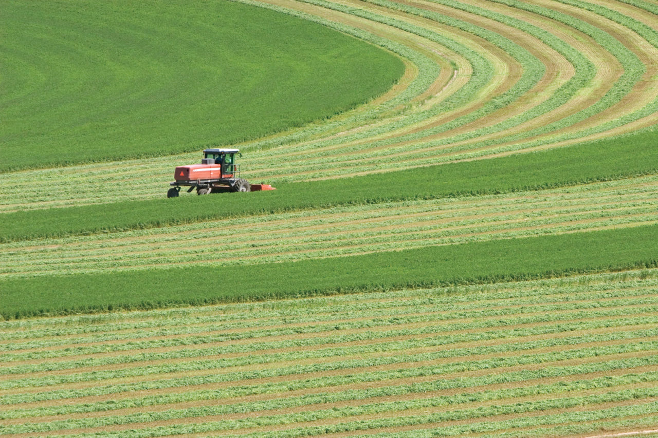 Equipment - Mowing Alfalfa