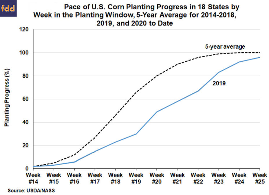 USDA Crop Progress report: North Carolina is first state to finish