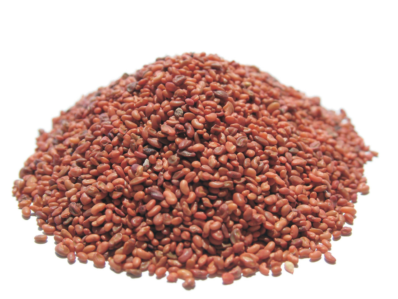 treated alfalfa seed