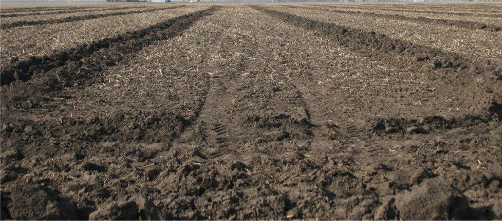 Figure 1. Field with newly installed tile lines.