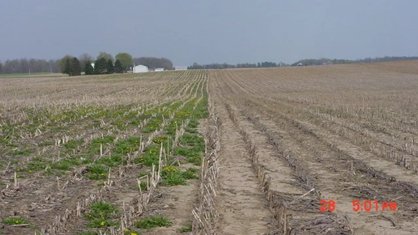 Benefits and Limitations of Early Burndown Herbicide Applications
