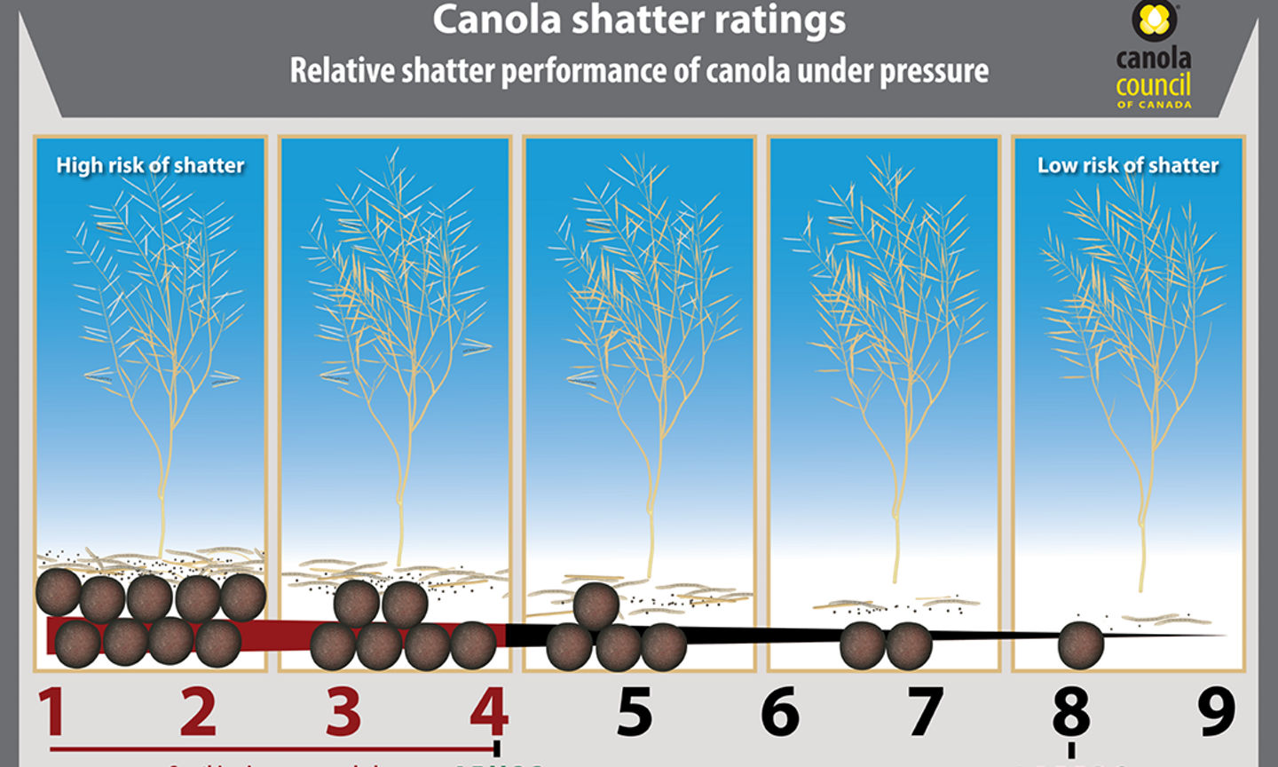 Canola Trait Chart