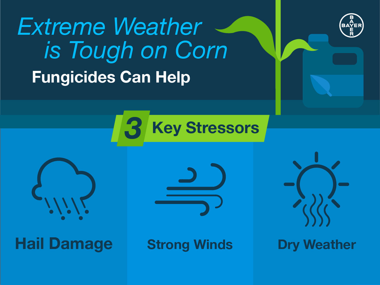 3-key-weather-stressors-on-corn