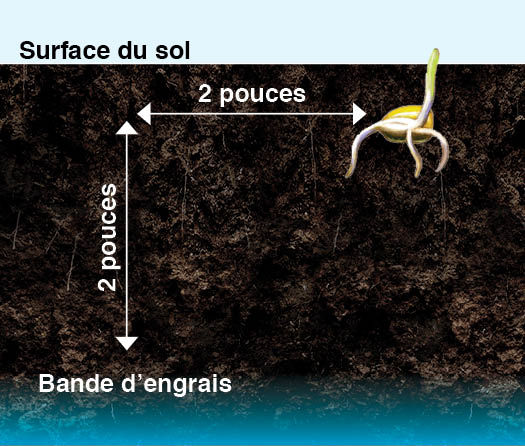 Application 2 x 2 de l’engrais de démarrage