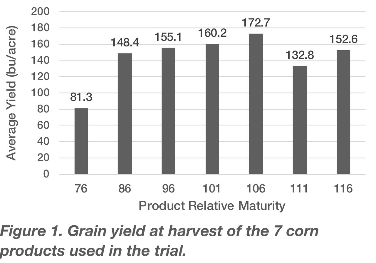 Grain yield at harvest of the 7 corn products used in the trial.