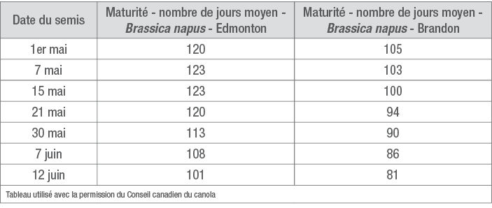 Effet de la date de semis du canola sur la maturité de la culture à deux endroits