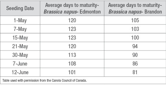 Effect of seedling date on canola maturity at two locations