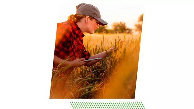 Feature Section Image