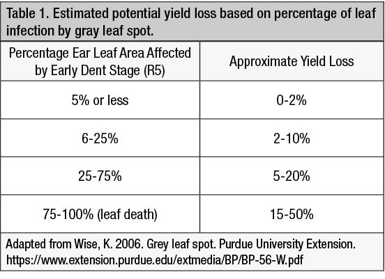 Gray leaf spot and yield losses in corn