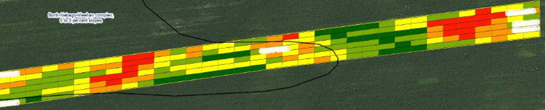 Management of Western Bean Cutworm in Corn