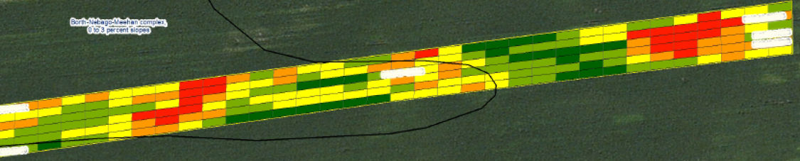 Figure 5. Yield map of field infested with western bean cutworm. 