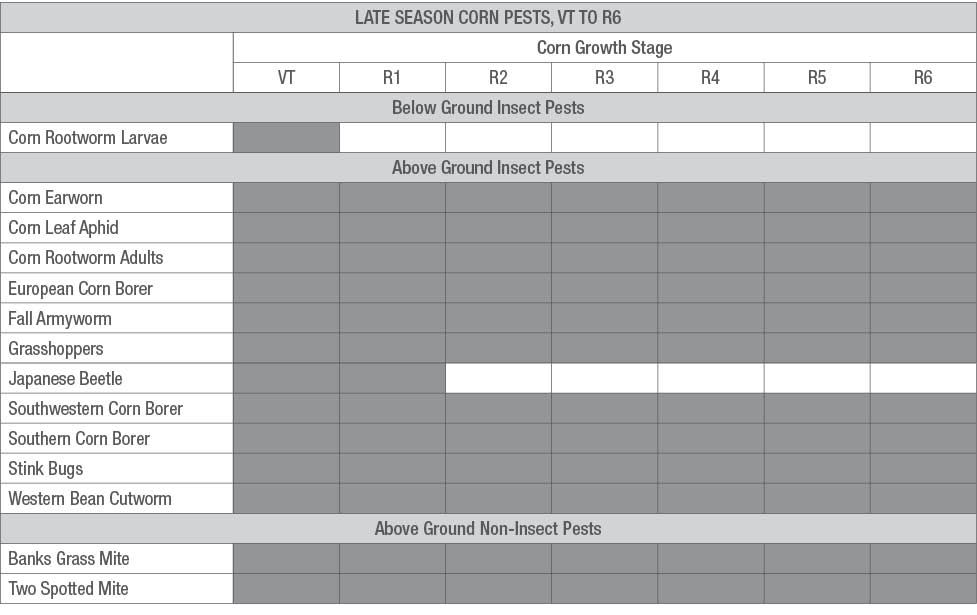 LATE SEASON CORN PESTS, VT TO R6 