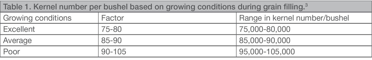 estimating corn yield potential