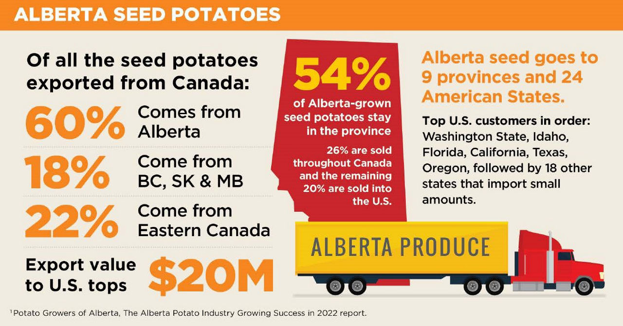   An infographic titled “ALBERTA SEED POTATOES” that features various statistics and graphics.   On the left side, there are statistics indicating the percentage of seed potatoes exported from Canada. 60% comes from Alberta, 18% come from BC, SK & MB, and 22% come from Eastern Canada, with export value to U.S. topping $20M.   In the middle there is a graphic of the province of Alberta with text explaining that 54% of Alberta-grown seed potatoes stay within the province, while 26% are sold throughout Canada and the remaining 20% are sold into the U.S.    The right side states “Alberta seed goes to 9 provinces and 24 American States. Top U.S. customers in order: Washington State, Idaho, Florida, California, Texas, Oregon, followed by 18 other states that import small amounts.”   At the bottom right corner is an illustration of a red semi-truck with “ALBERTA PRODUCE” written on the side.   The footer includes a source credit that reads “Potato Growers of Alberta, The Alberta Potato Industry Growing Success in 2022 report.”