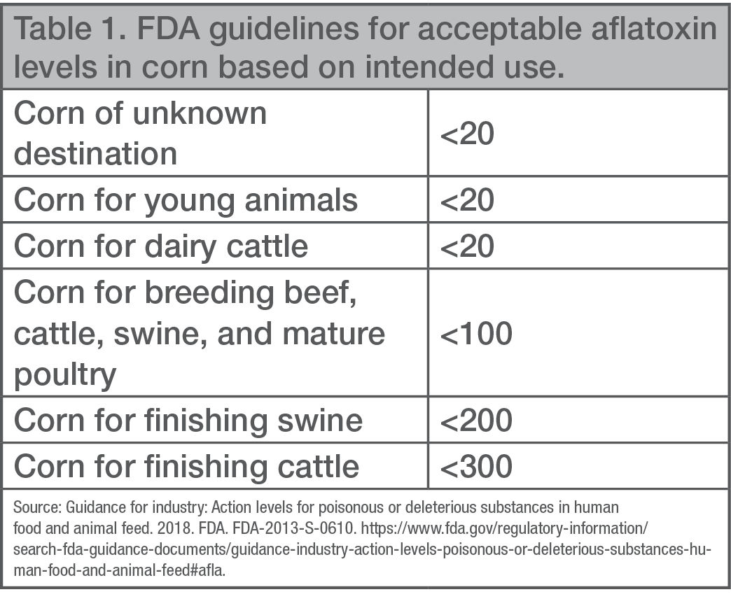 aflatoxin