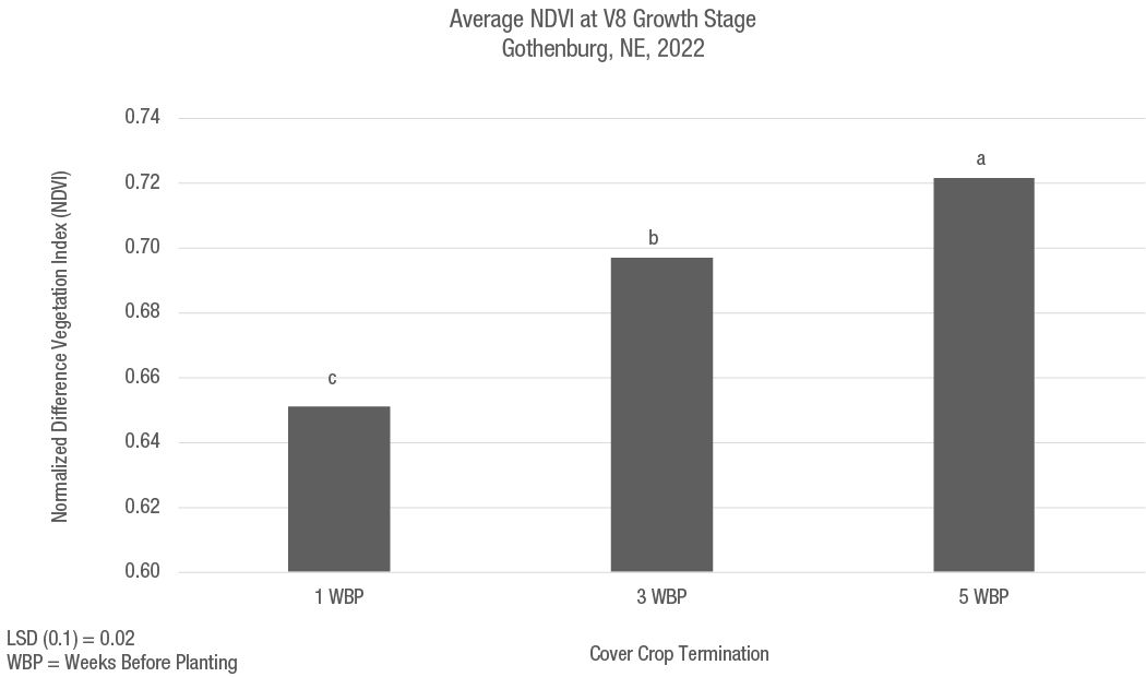 image - Figure 2. Average NDVI at the V8 growth stage as impacted by cover crop termination timing at the Bayer Water Utilization Learning Center, Gothenburg, NE (2022).