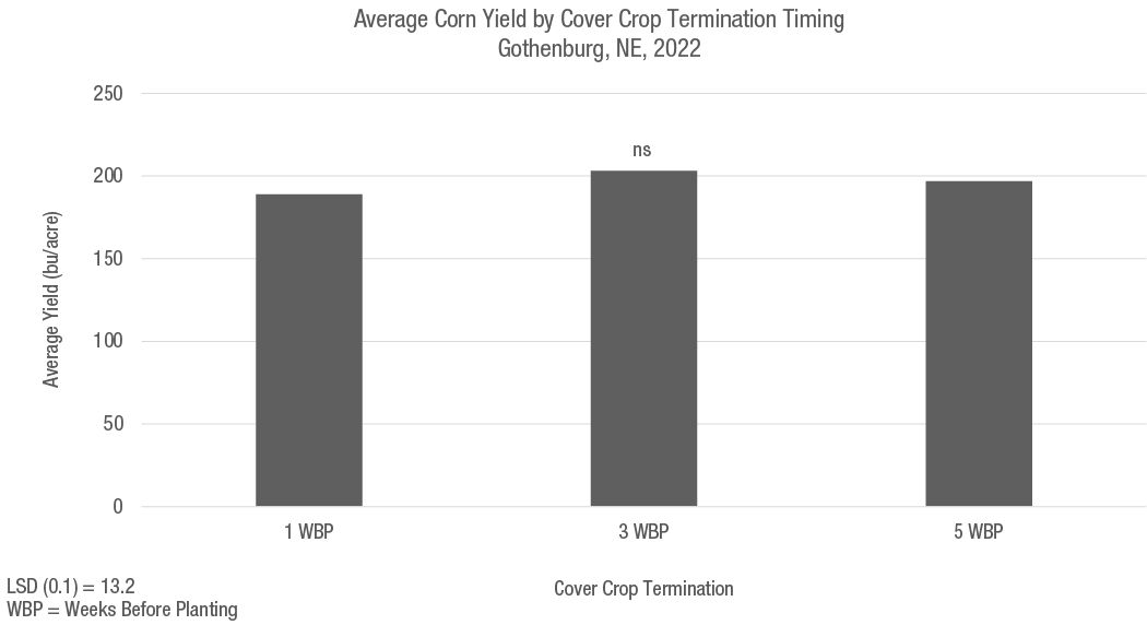 image - Figure 3. Average corn yield as impacted by cover crop termination timing at the Bayer Water Utilization Learning Center, Gothenburg, NE (2022), ns: not statistically significant. 