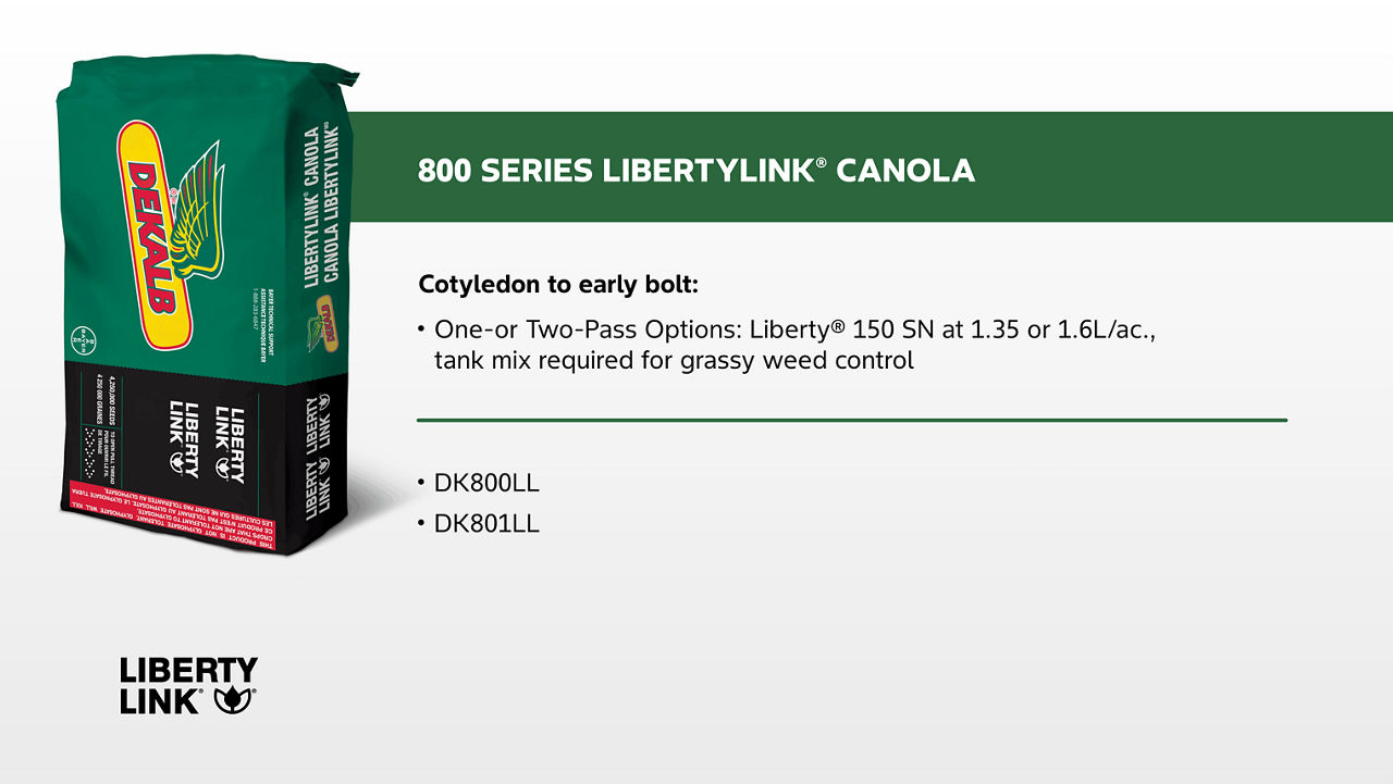 Graphic showing a green DEKALB-branded bag of canola seed on the left with a heading on the right that reads '800 Series LibertyLink® Canola.' Below, text states 'Cotyledon to early bolt:' followed by a bullet point: 'One- or Two-Pass Options: Liberty® 150 SN at 1.35 or 1.6 L/ac., tank mix required for grassy weed control.' Additional bullet points list 'DK800LL' and 'DK801LL.' A LibertyLink logo appears in the bottom left corner.