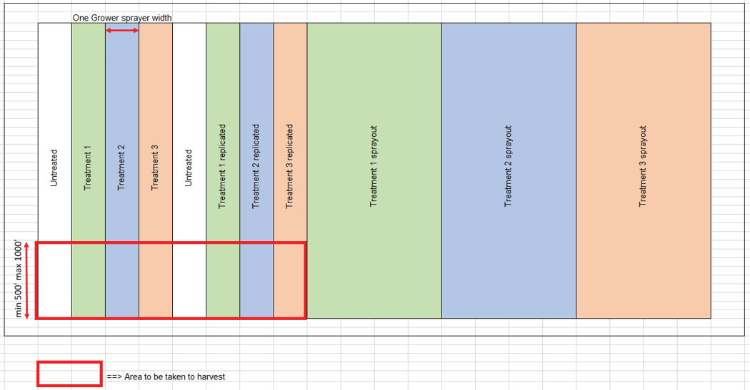 Trial Format: area outlined in red is what was measured for yield weight at harvest.