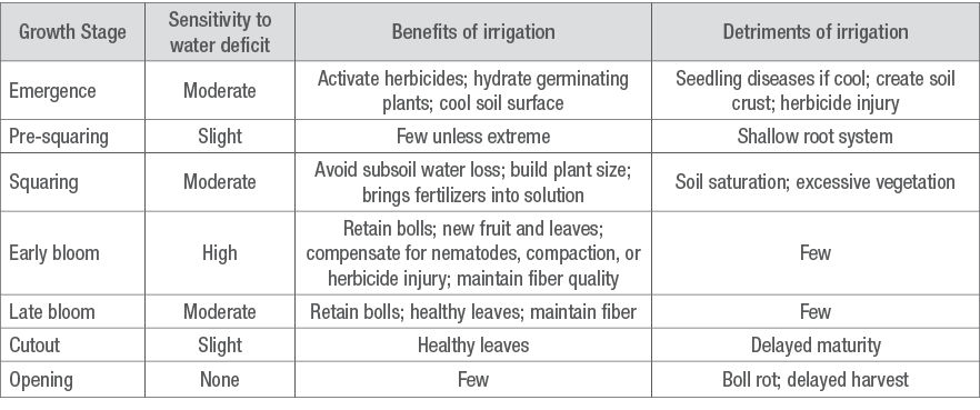 Cotton growth stages and water requirements - UT Crops News