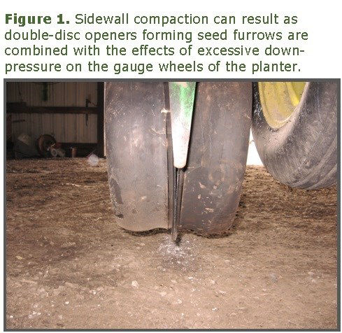 Wet spring concerns 1