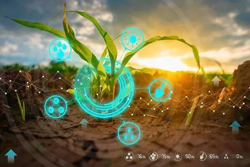 A lavoura é fonte de inúmeros dados para o produtor