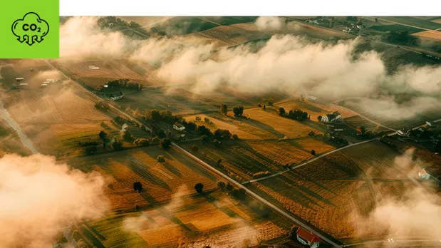 Feature Section Image