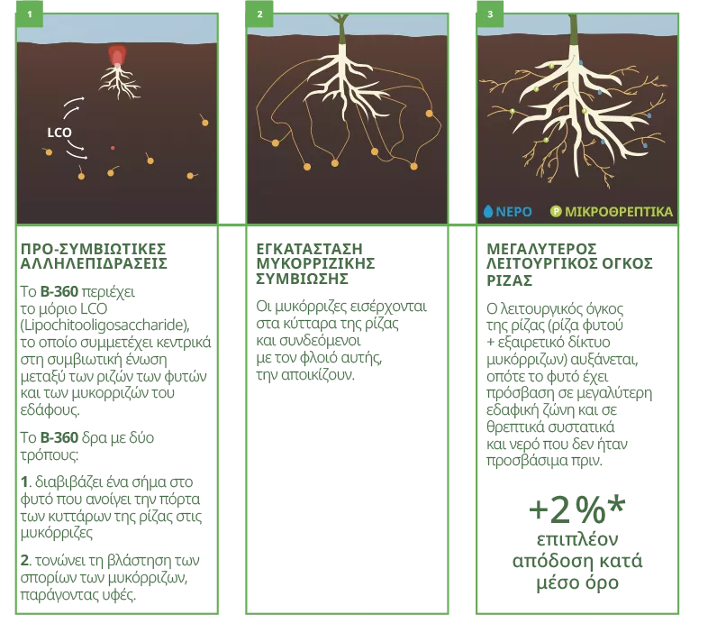 acceleron-instruction-03