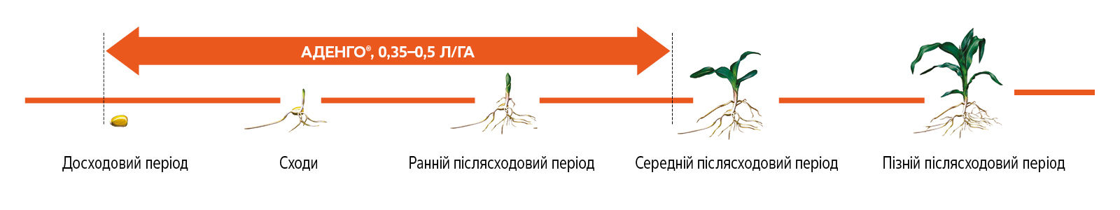Adengo_CP_PDP_image_1.jpg