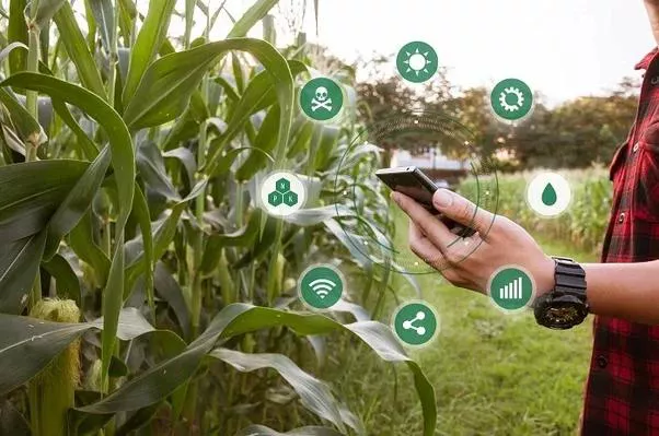 As ferramentas digitais otimizam todas as etapas do processo produtivo