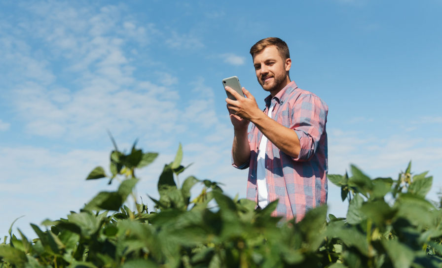 Lansarea AgroBayer: alături de agricultură prin inovație digitală