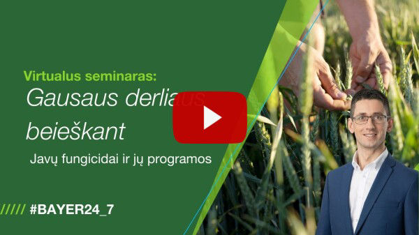 Virtualus seminaras: Gausaus derliaus beieškant – javų fungicidai ir jų programos