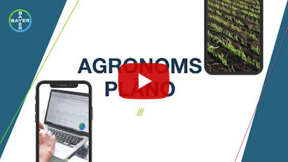 #AgronomsPlāno - T2 fungicīda apstrāde