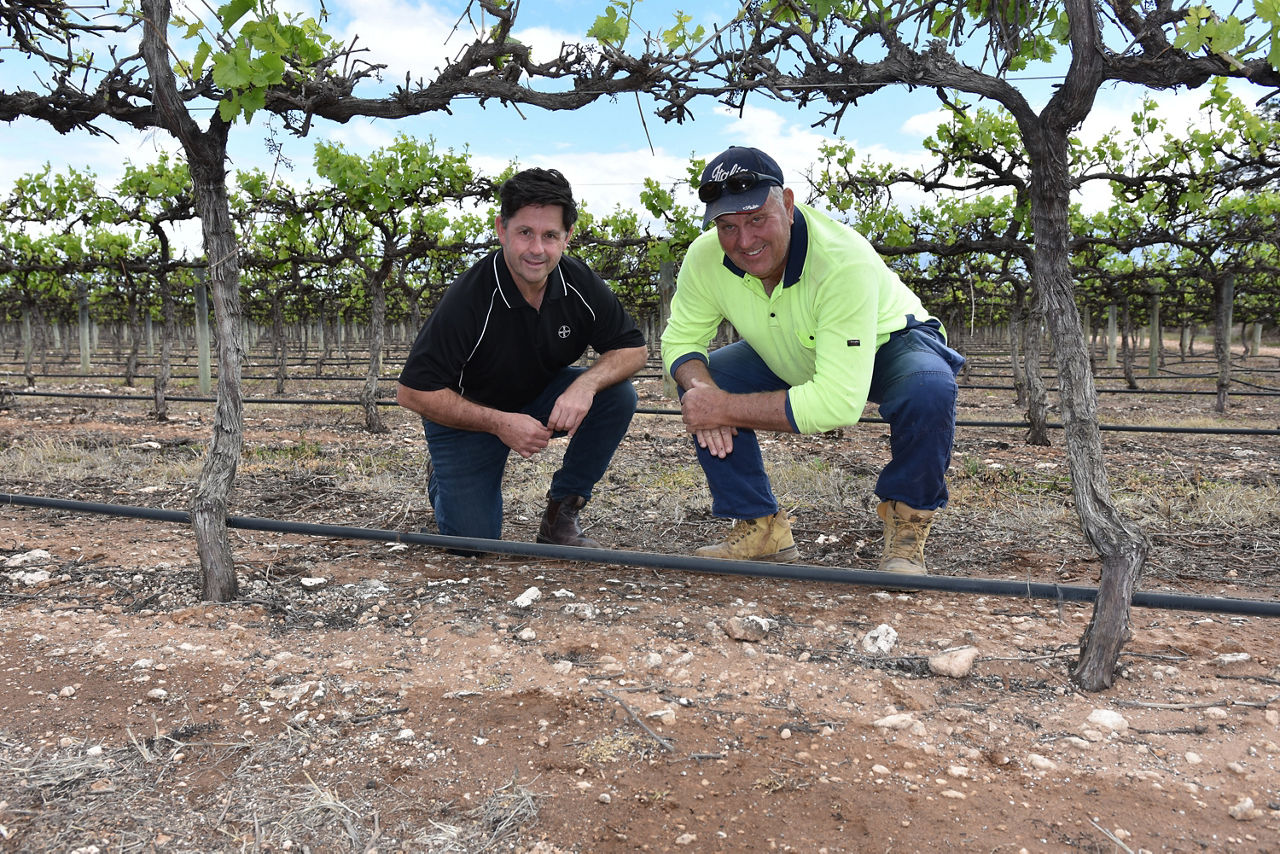 Bayer Horticulture SA Territory Business Manager Darren Alexander and South Australian Riverland grapegrower Phillip Smith, Taylorville.