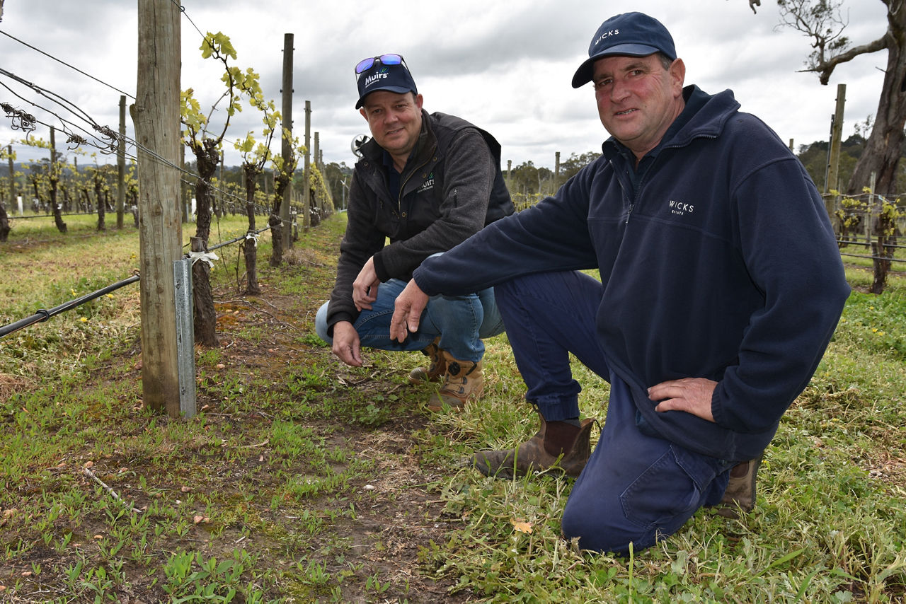 Michael Booth, former Sales Agronomist with EE Muir and Sons at Lenswood in SA