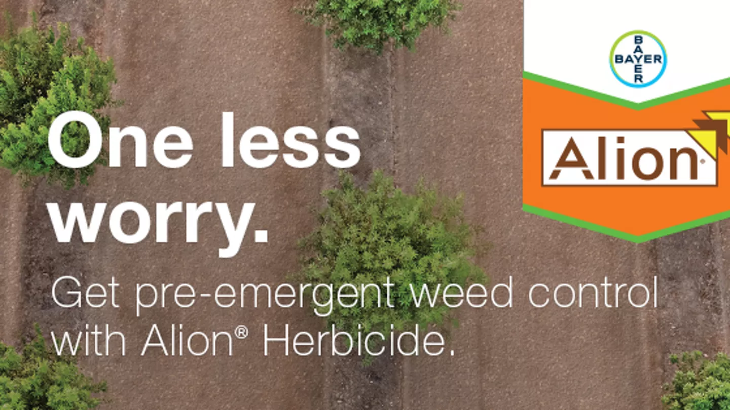 One Less Worry for Almond Trees