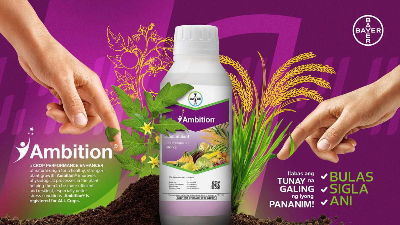 AMBITION® - Ilabas ang tunay na galing ng inyong pananim.