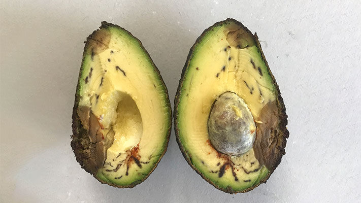 Anthracnose is one of the most prevalent and serious fungal diseases of many horticultural crops in Australia.