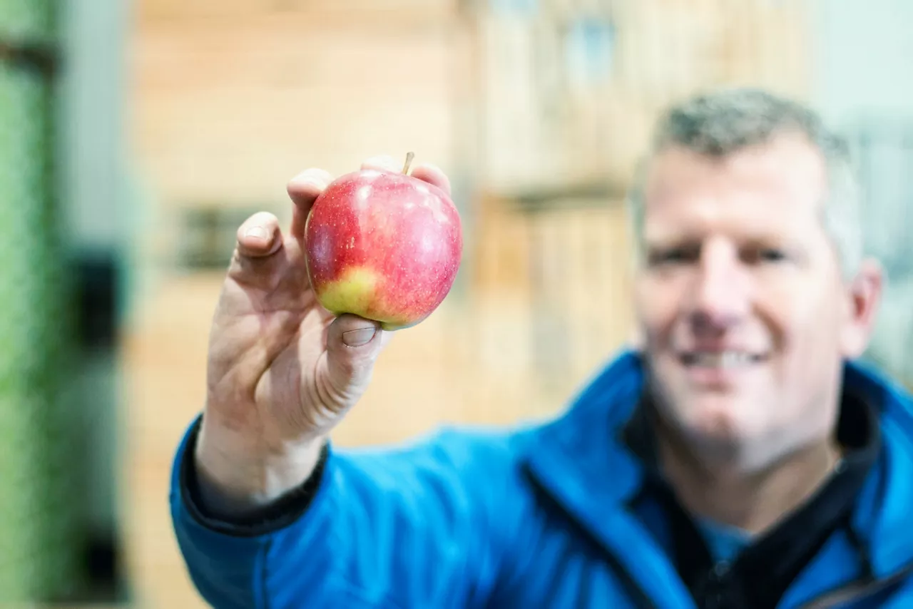 Apfelbauer Andreas Willhalm hält einen Apfel in die Kamera