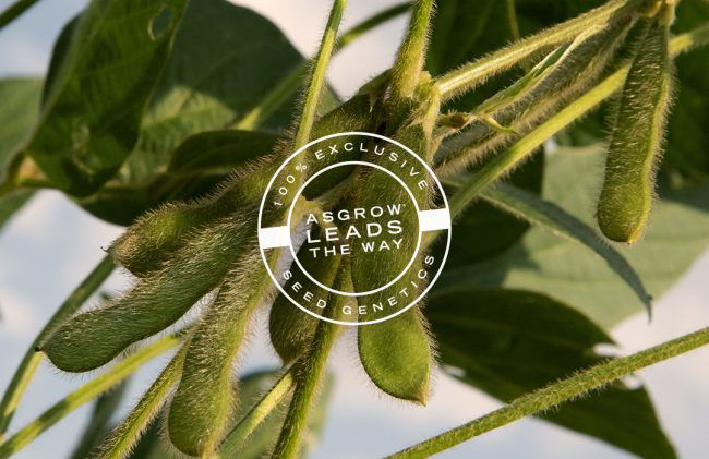 Promo Tools of Industry-Leading Breeding