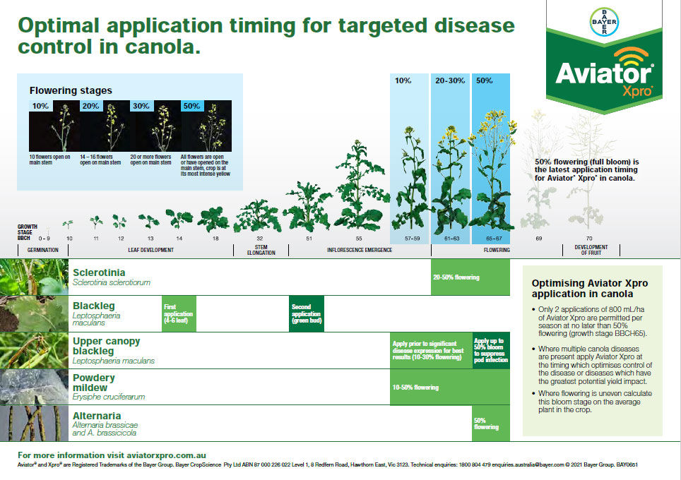 Aviator Xpro Application Timing for Targeted Disease