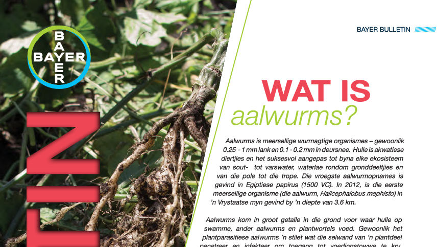 Wat is Aalwurms?