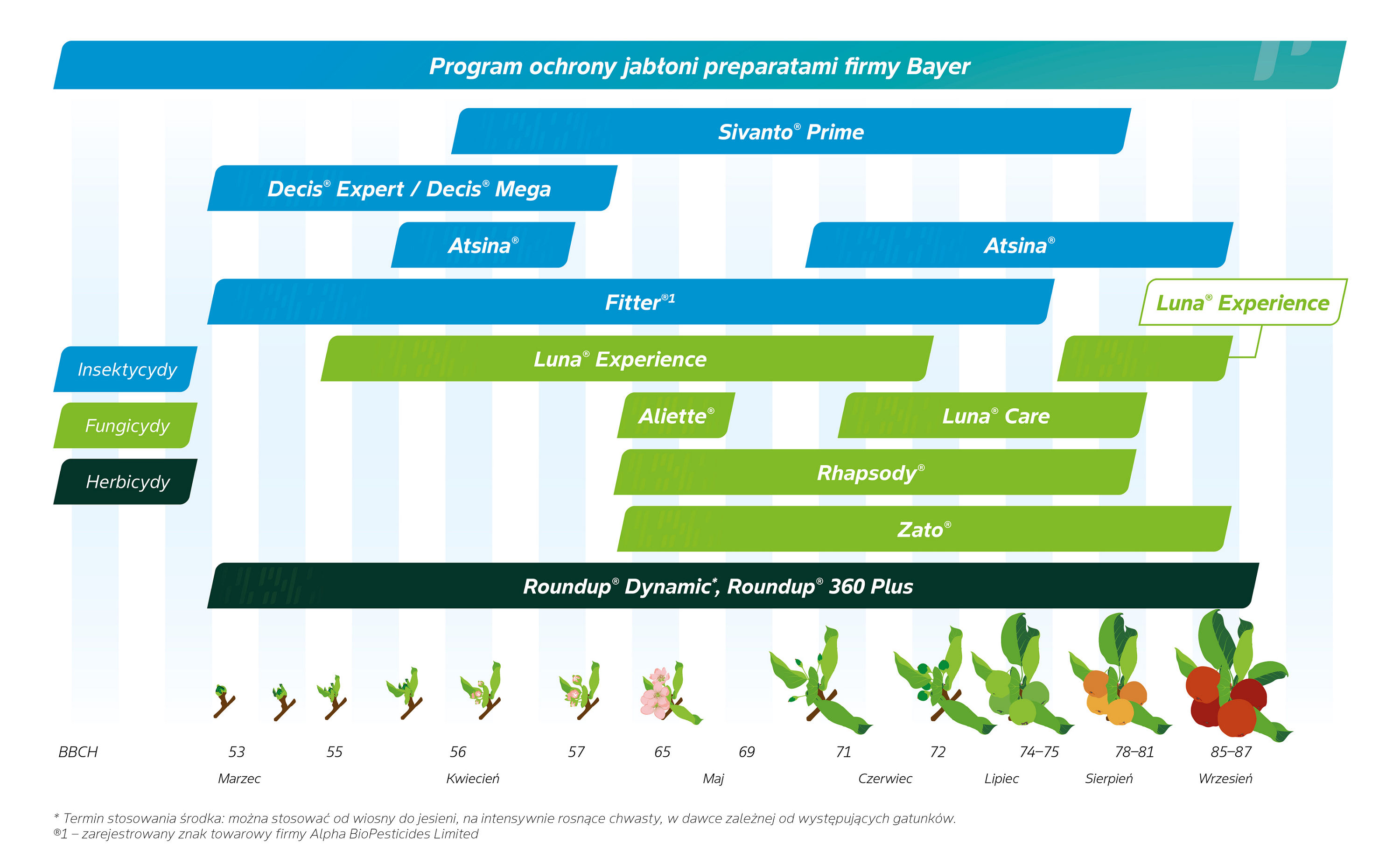 program ochrony roślin jabłoń
