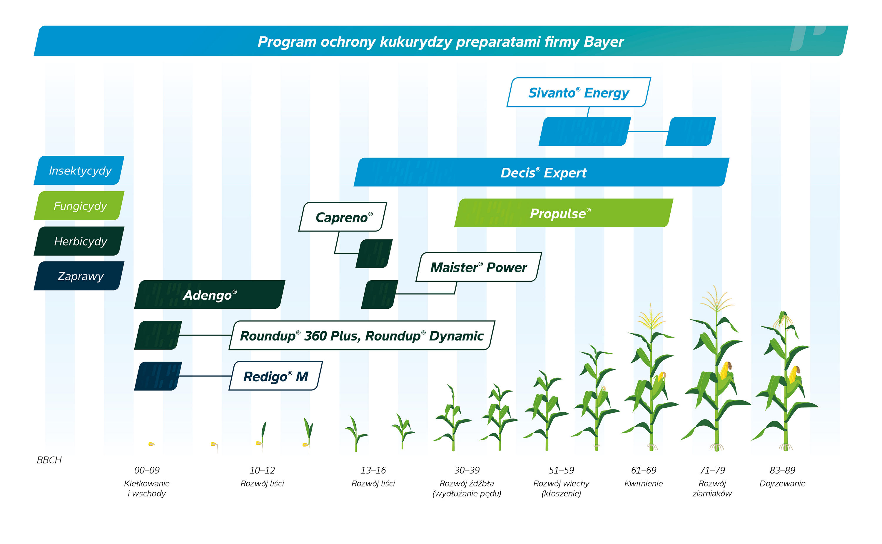 grafika program ochrony kukurydzy 