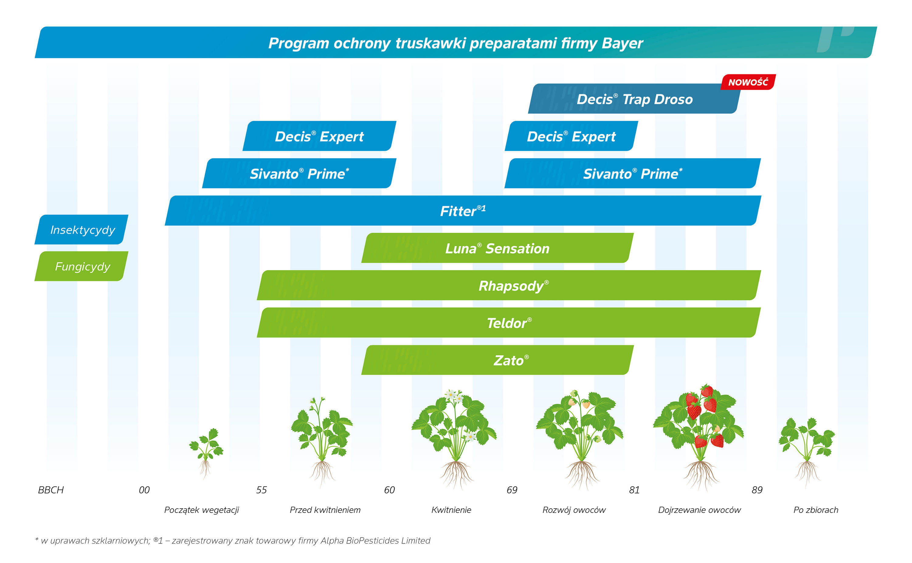 Program ochrony roślin Truskawka
