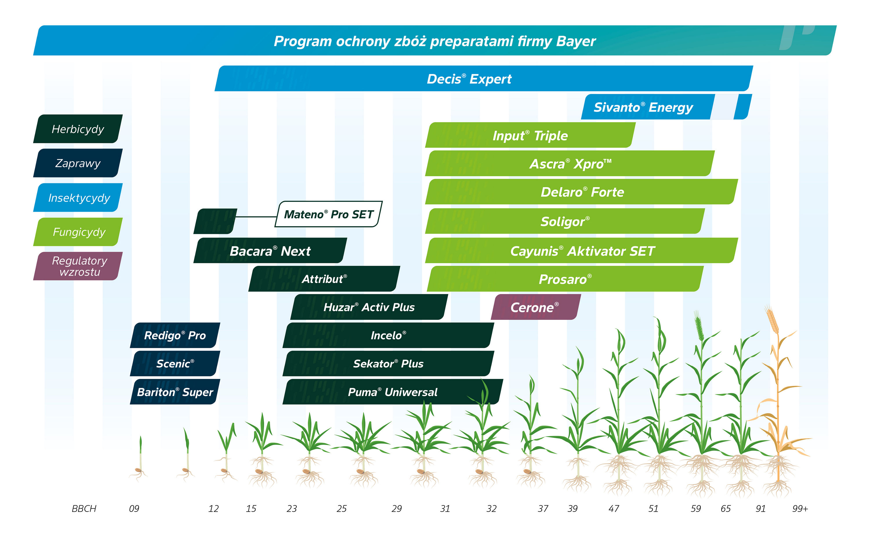 Grafika z programem ochrony roślin bayer dla zbóż