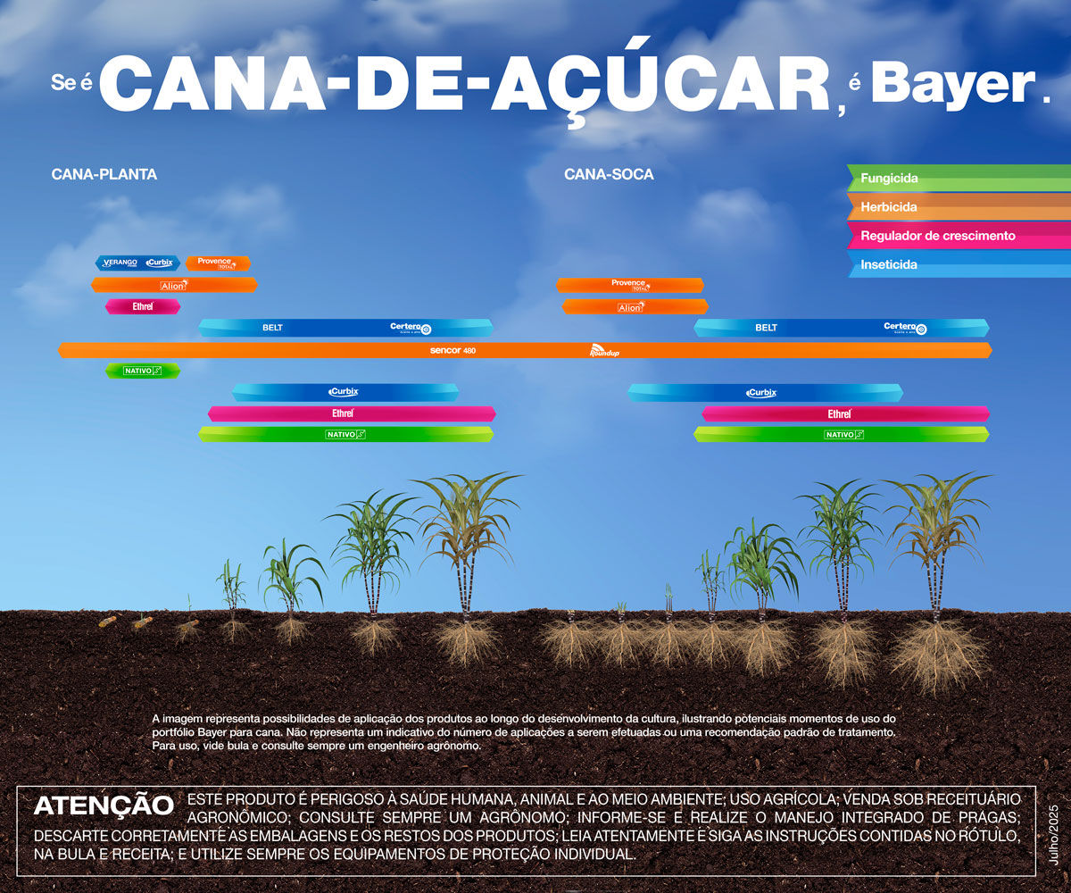 Gráfico de manejo da cana-de-açúcar com aplicação de produtos Bayer em diferentes estágios da lavoura.