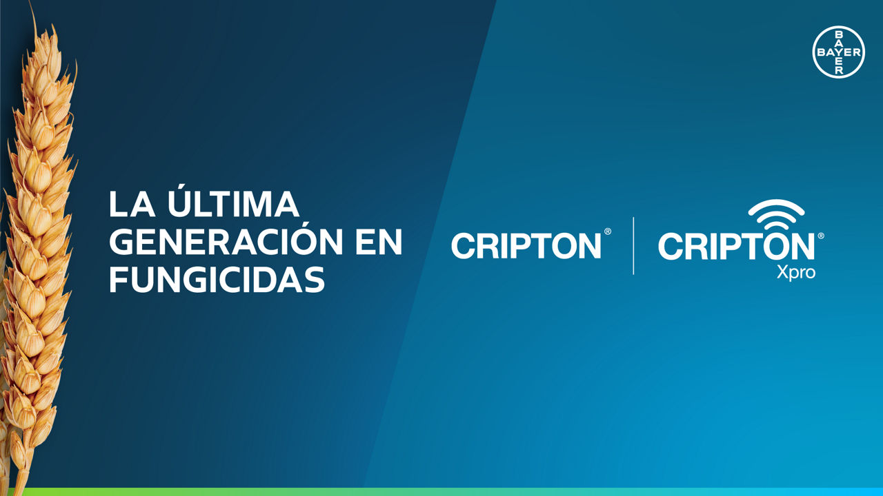 Cripton y Cripton Xpro, protección al máximo